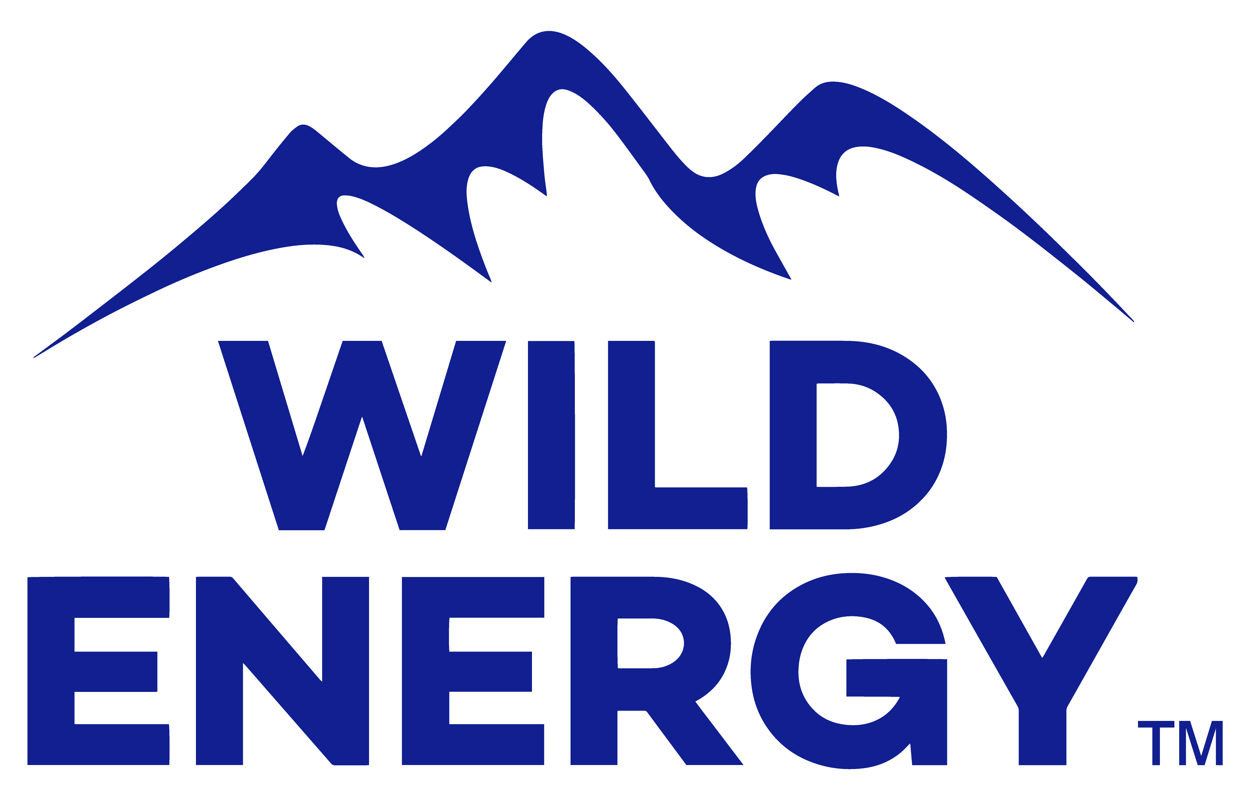 Wild Energy Inc.